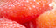 Abbildung Pomelo