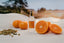 4711 Shooting Bild Acqua Colonia Mandarine & Cardamom mit mandarinen und Kardamom